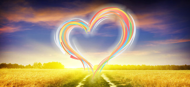 草地上有一個(gè)顆絢麗的心型圖案，可用于體現(xiàn)用心服務(wù)的企業(yè)文化。