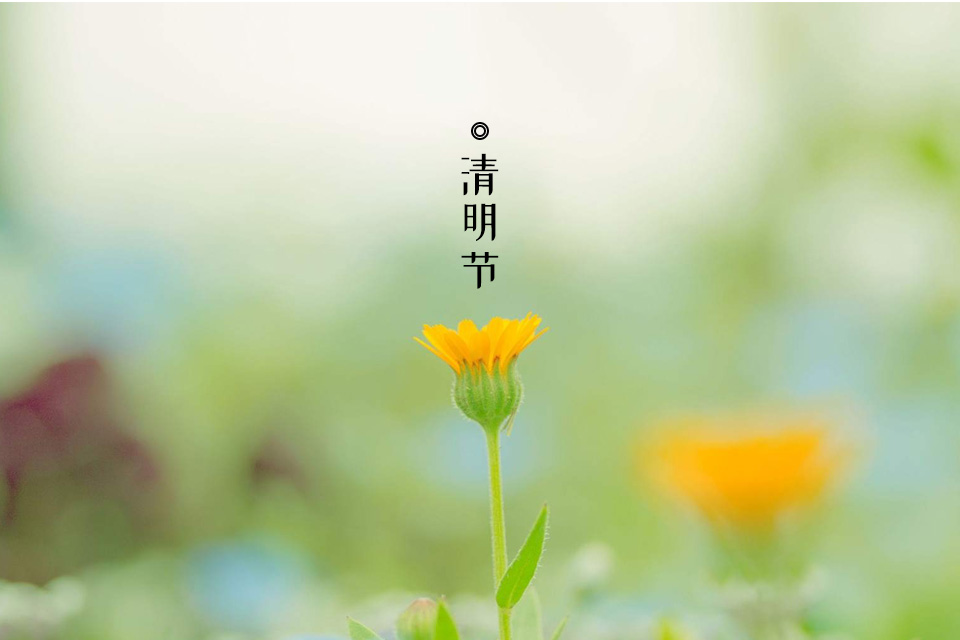 2019年3月網(wǎng)站數(shù)據(jù)備份說(shuō)明及清明節(jié)放假通知